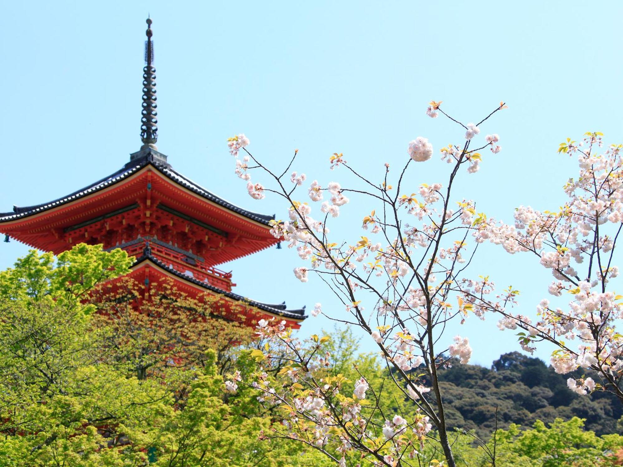 Ref Kyoto Hachijoguchi By Vessel Hotels Esterno foto